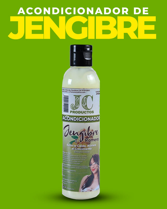 Ginger Conditioner